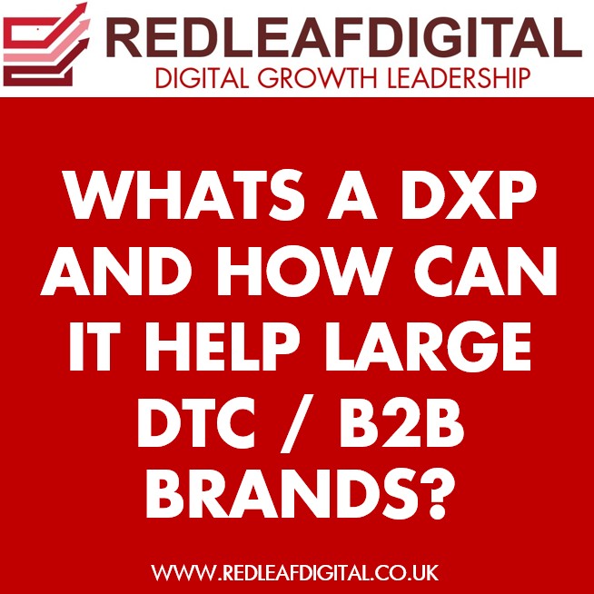 Investing a new DXP – Bloomreach – to drive growth